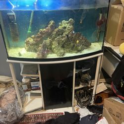 Fish Tank 50 gallon