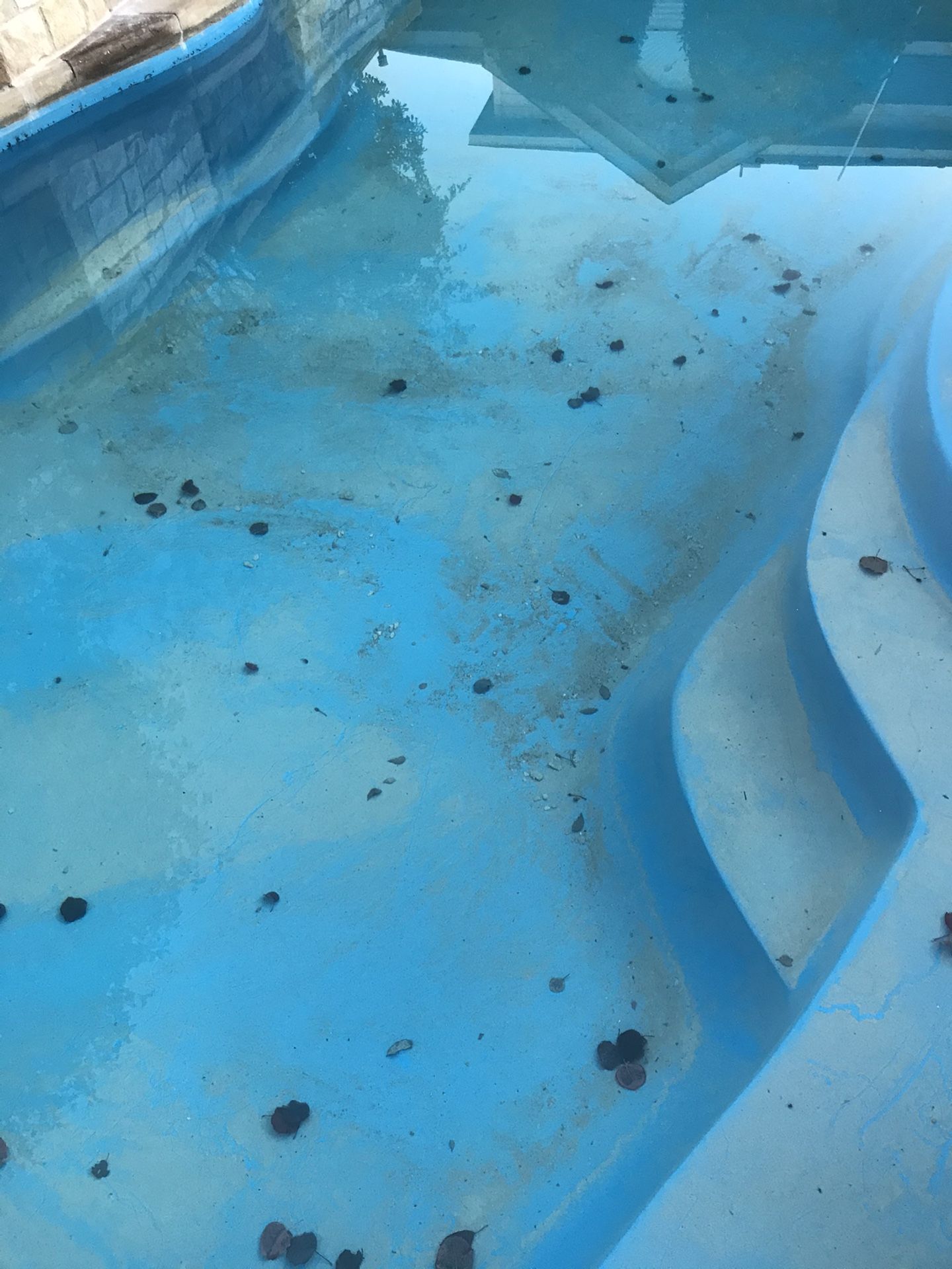 Limpieza De albercas