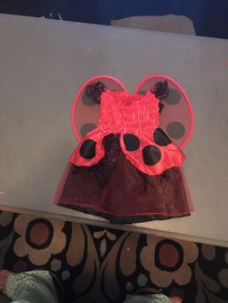 Ladybug costume