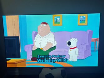 Samsung Smart TV  65inch