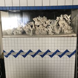 60 gallon saltwater fish tank