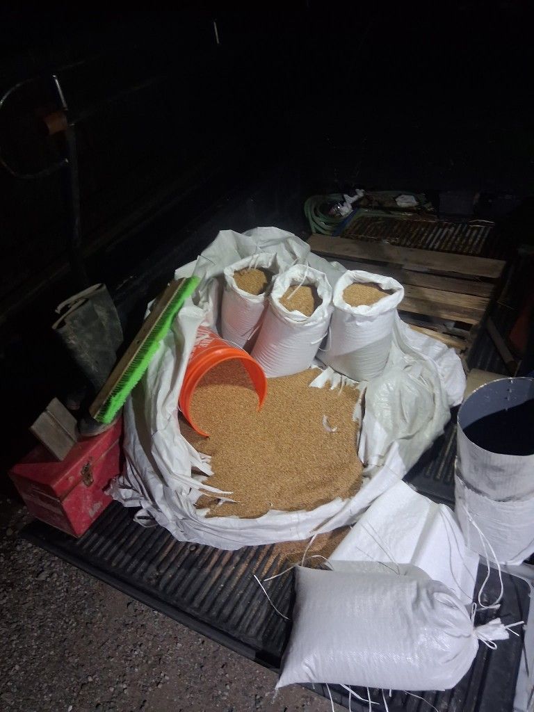 25lb. Bag Of Grain For $10