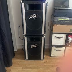 Peavey 112H Passive PA speakers
