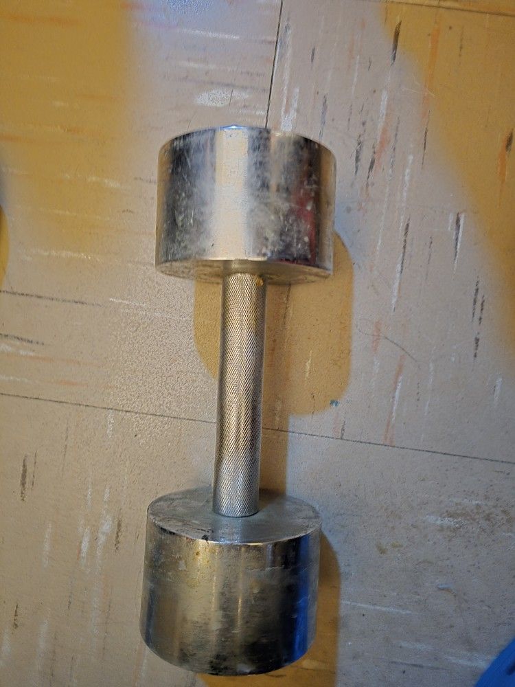 Dumbbell Hand Weight 20lb