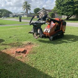 Mini Skid Steer Loader - Stump Grinder - Stump Grinding