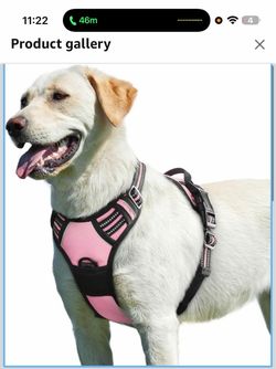Eagloo Dog Harness for Large Dogs, No Pull Pet Vest with 2 Leash Clips No Choke with Handle, Adjustable Comfort Fit, Reflective Strips, Easy Walking C