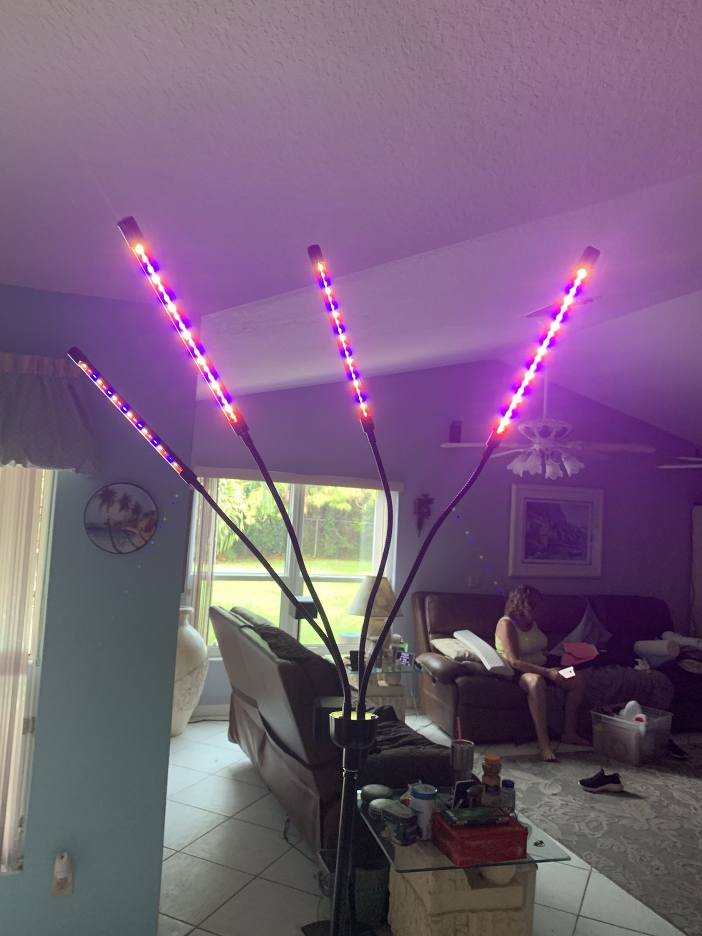 Indoor Plant Grow Light