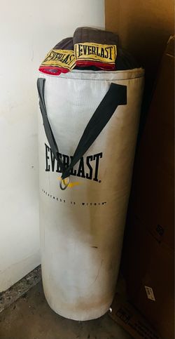 Everlast Punching Bag