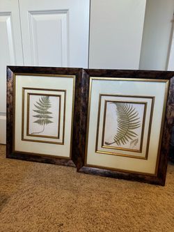 Decorative Fern Prints