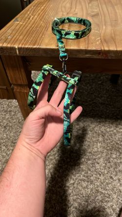 Cat Harness & Leash
