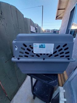 Pet kennel