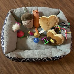 Cat Bed And Toys