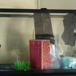 Fish Tank With Accessories
