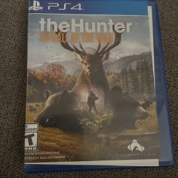 PS4 Game