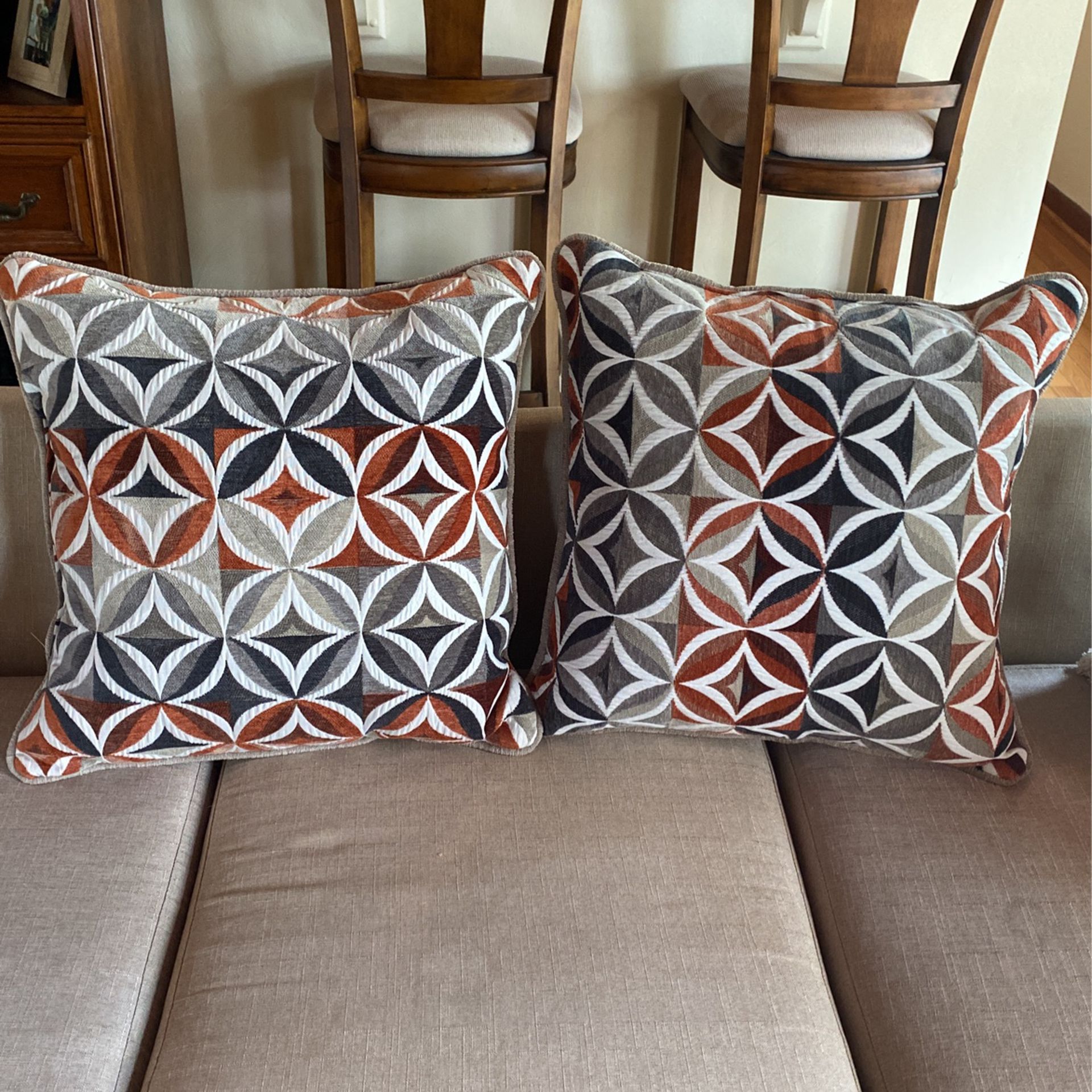 Two 20x20 Decorative Pillows 