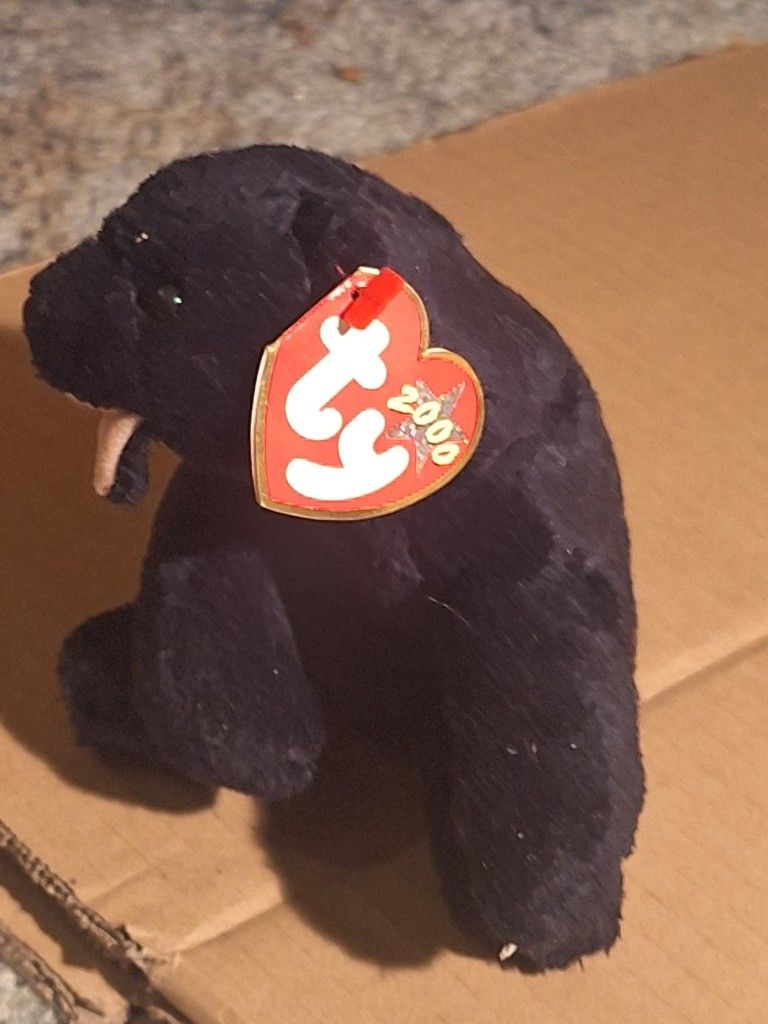 TY BEANIE BABIE "BLACK BEAR"