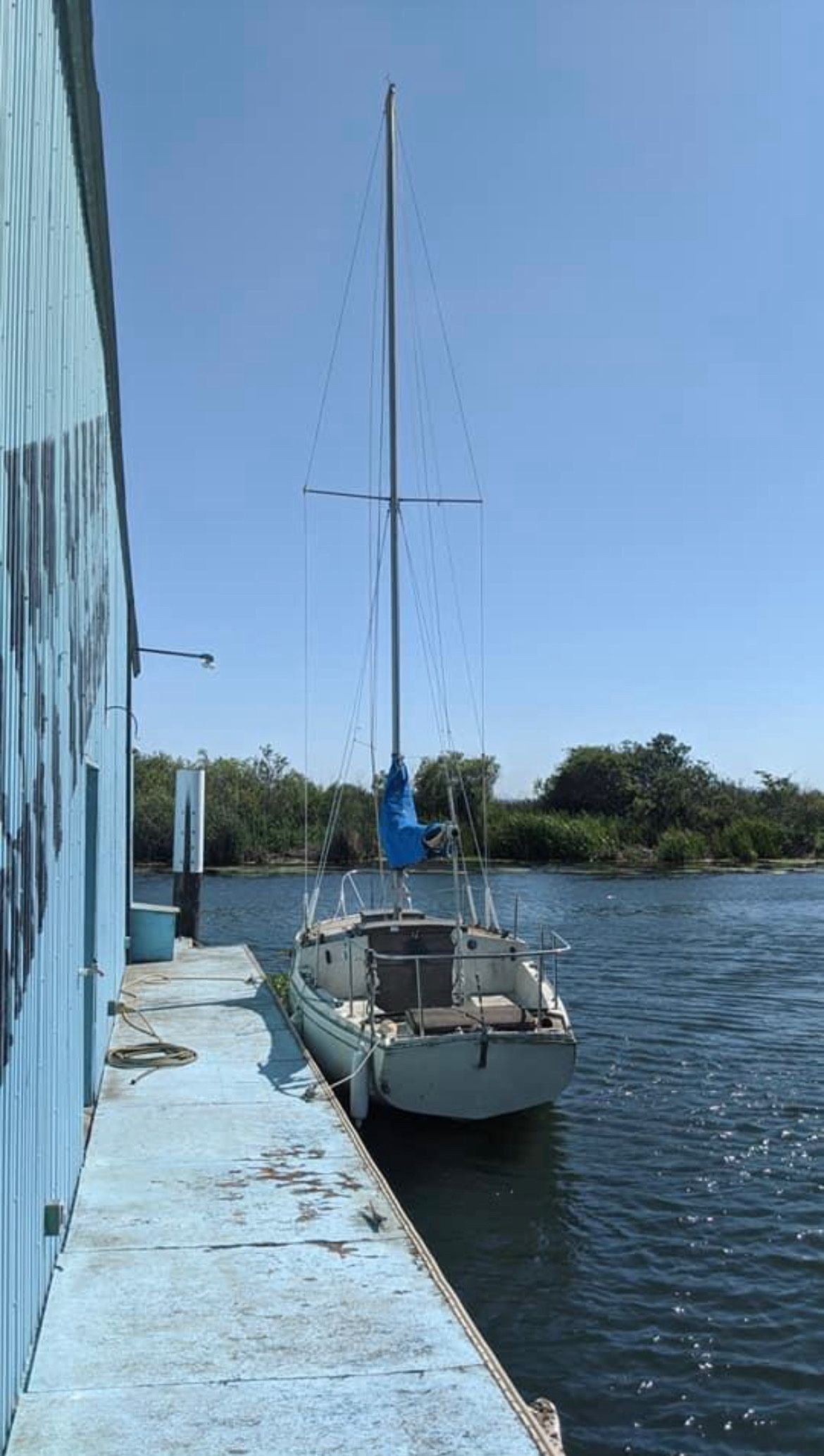 Sailboat ⛵️ Brannan Island 🏝️ Best Offer We Deliver As Well