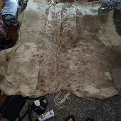 Full Size Unique Appolusa Horse Hide
