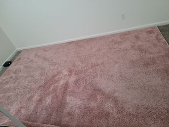 Area Rug