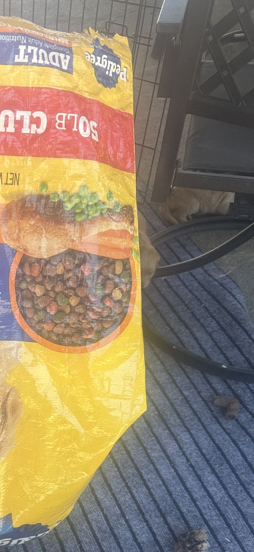 Dog Food