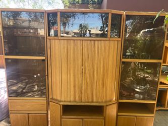 Old school/vintage entertainment center