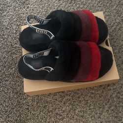 Ugg Slipper