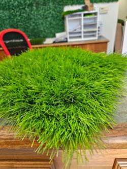 new artificial grass. 89 a sq