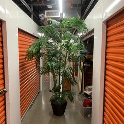 Artificial Fake Bamboo Palm Tree 8-9 feet Tall