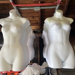 Body Form