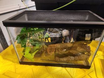 Terrarium  Ten Gallon