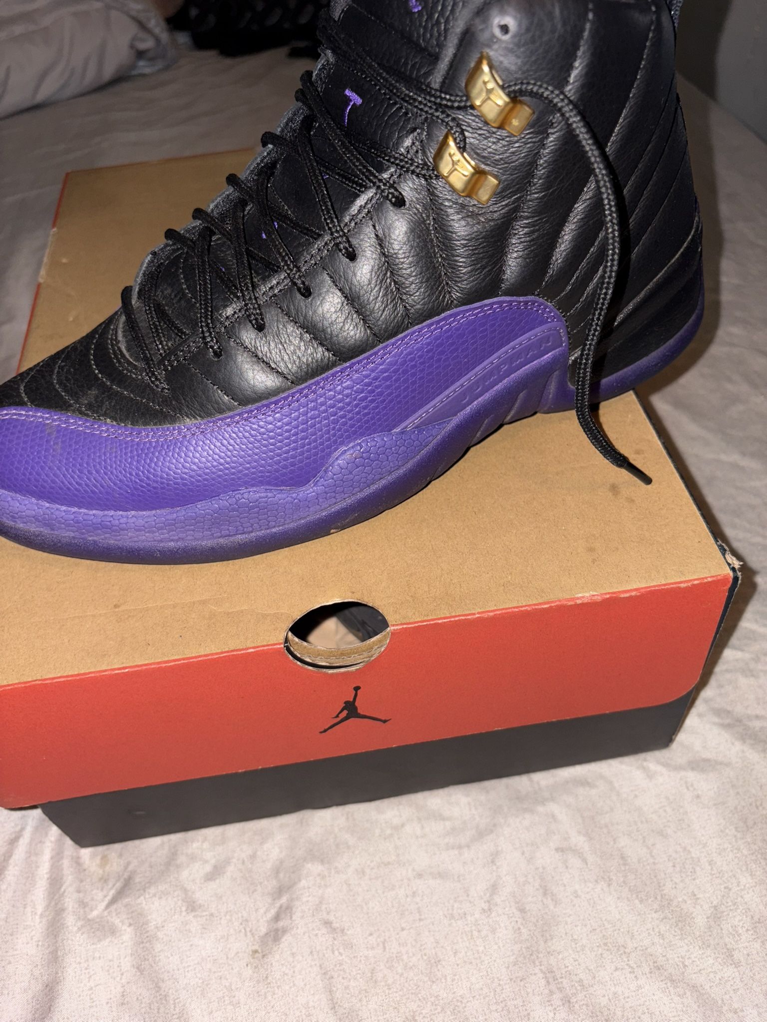 Jordan 12 retro
