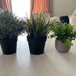 Fake Plants & Pots