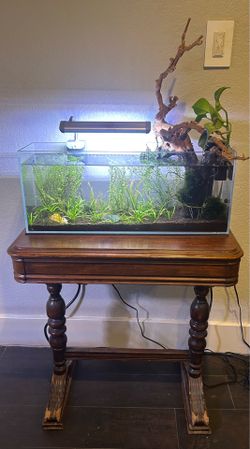 6.5 gallon aquarium and stand
