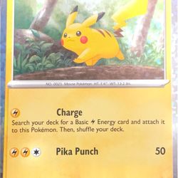 Holo Pokemon Cards