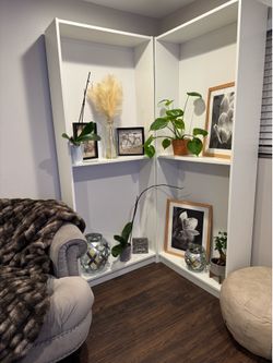 Modern couch, chair, shelves and decor (except the live plants)