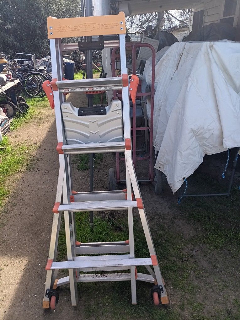Select Ladder