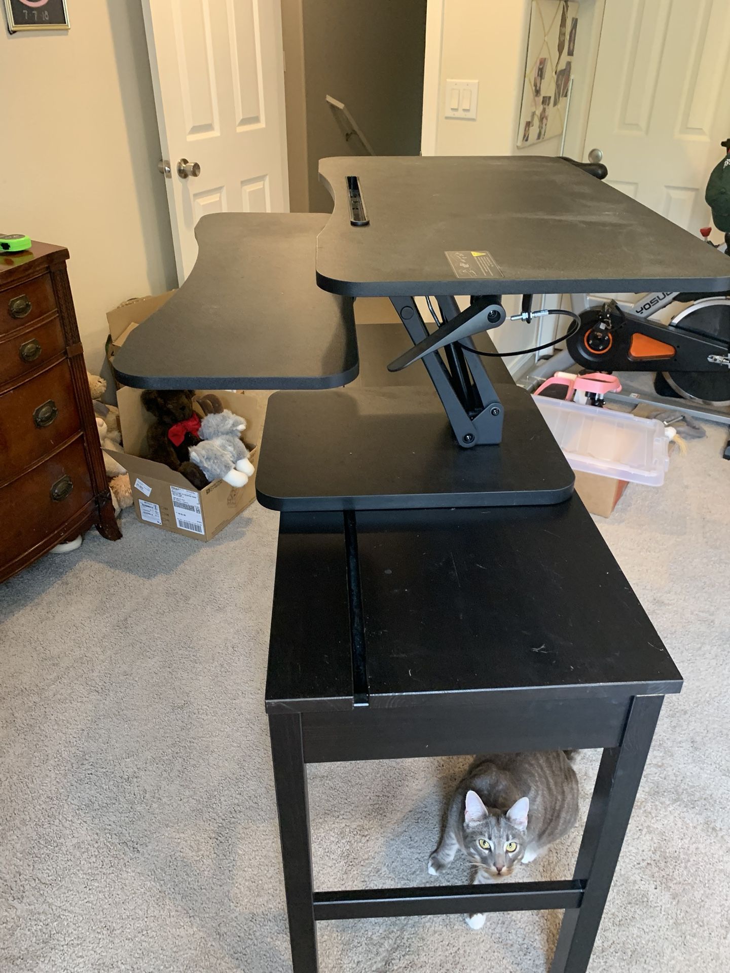 Sit/Stand Desk Topper