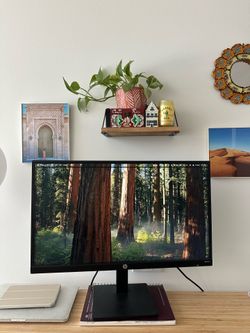 HP 27” monitor