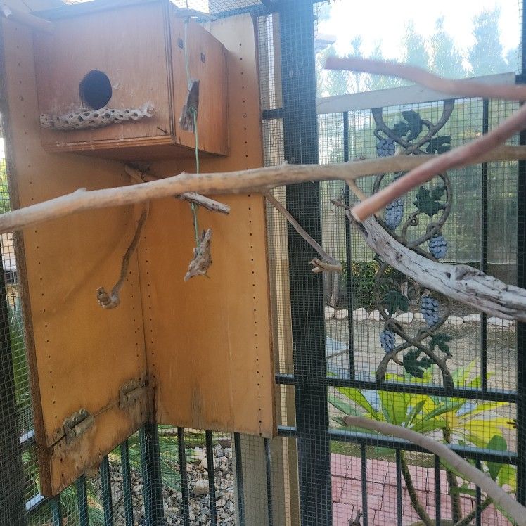 Large Bird Cage