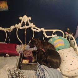 Girls Bedroom Set