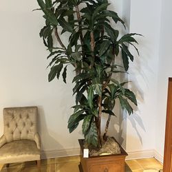 Highly Realistic Artificial Plants. Each Tree Is $50