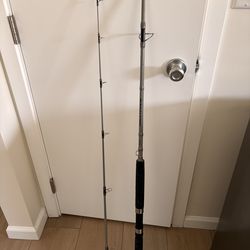 Shimano Saguaro 8FT two piece fishing rod
