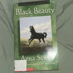 Black Beauty Book 