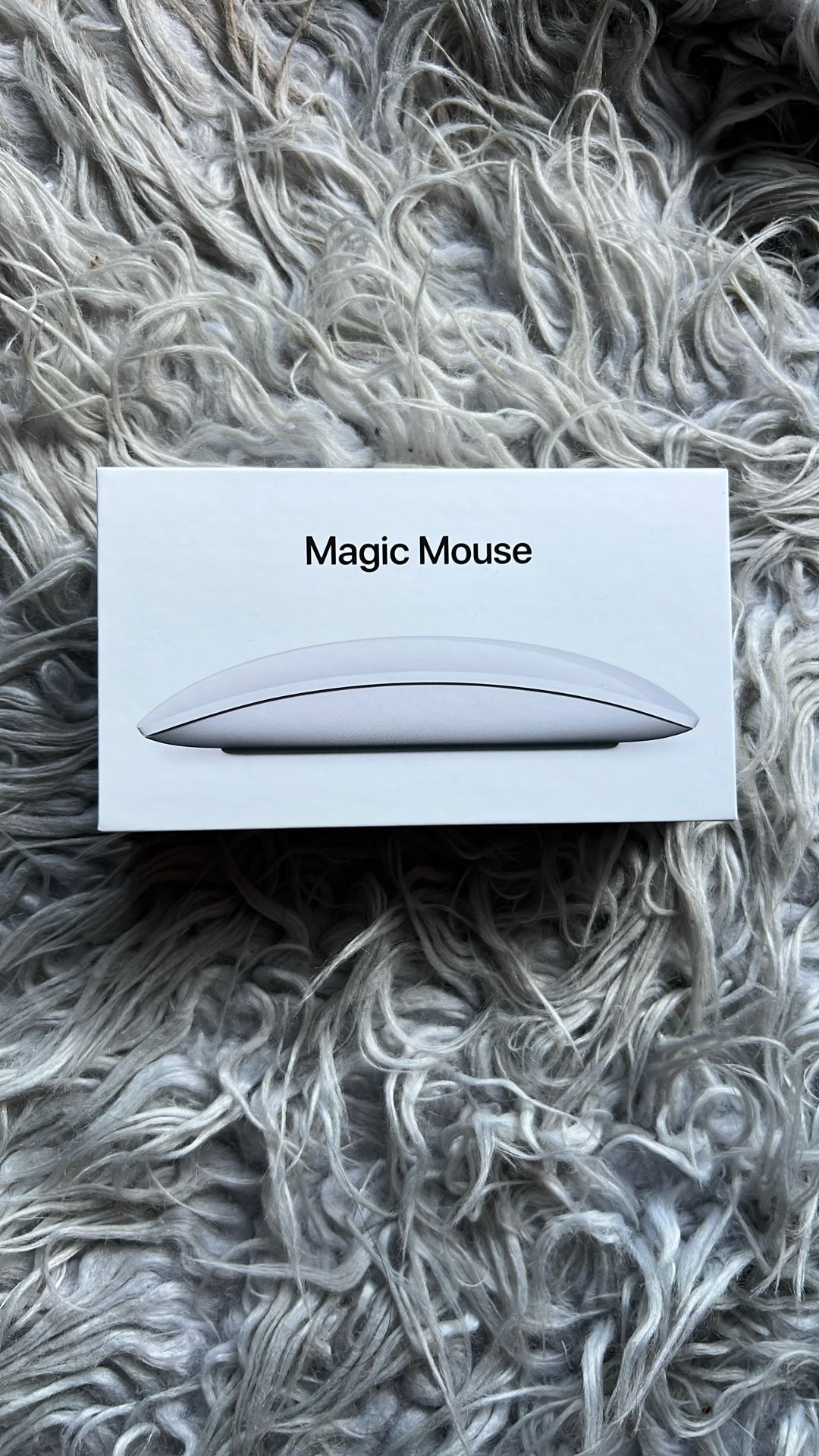 Apple Magic Mouse - USB-C