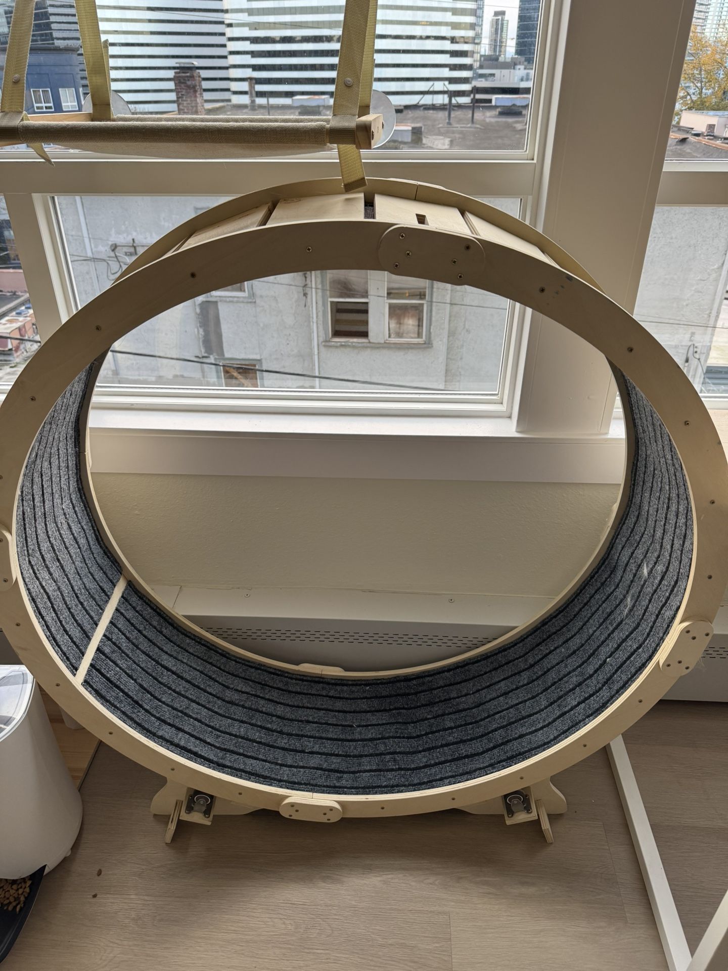 Cat Wheel Like New