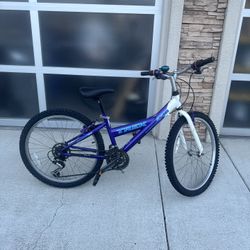 Purple Trek 220 MTB - 21 Speed