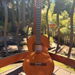Cordoba Guitar 