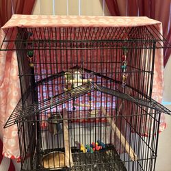 Bird Cage
