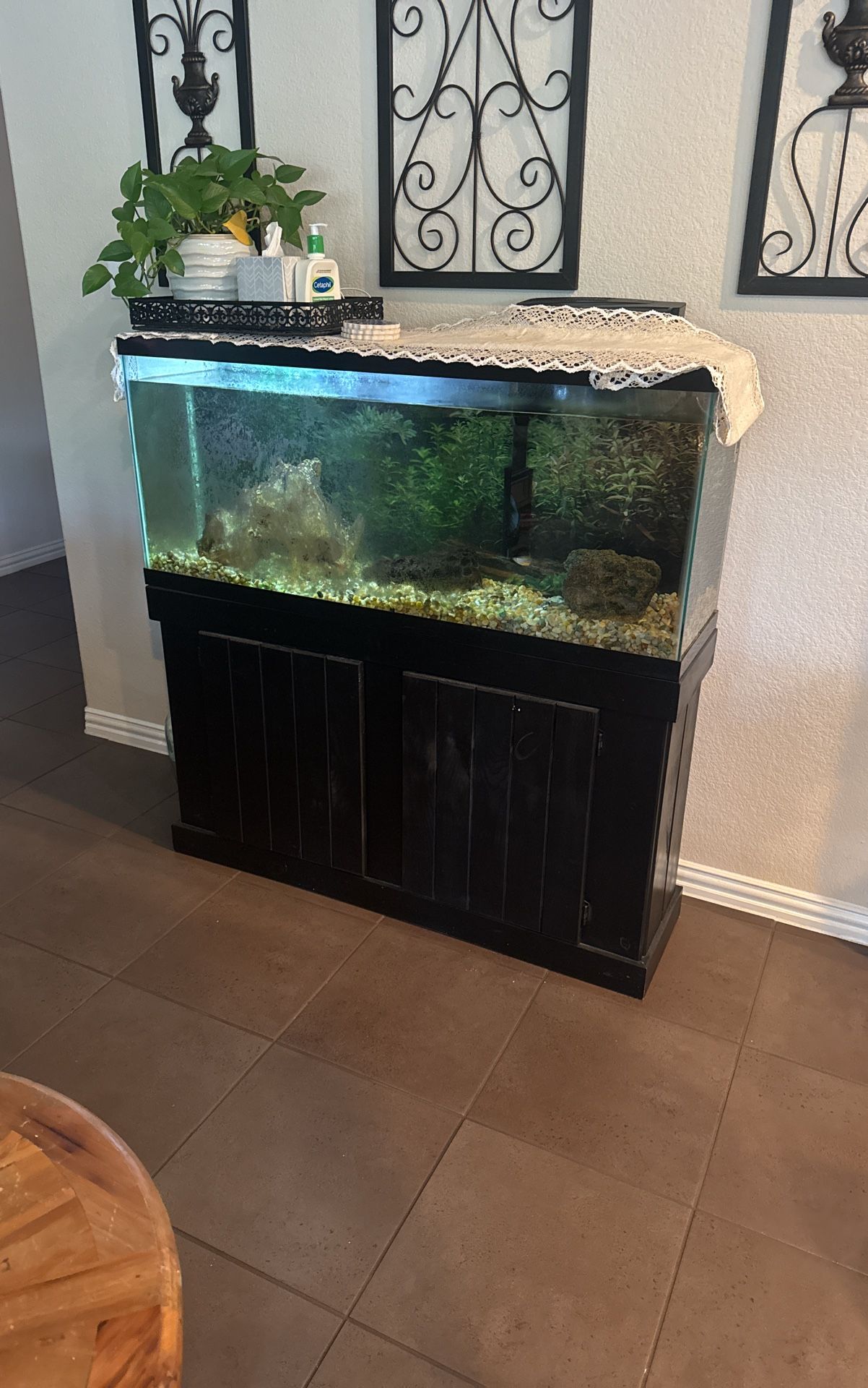Fish Tank