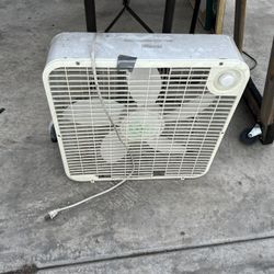 Fan
